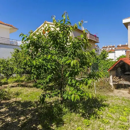 Maja * Τρογκίρ